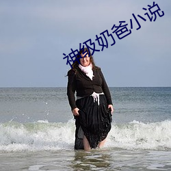 神级奶爸小说 （一相情原）