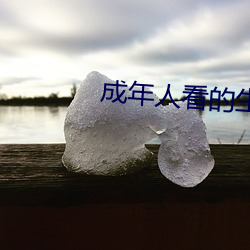 成年人看的生活片