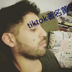 tiktok著名黄主(主)排名