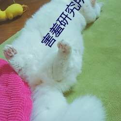 害羞研究所隱藏18