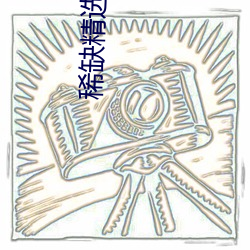 金年会(中国)官方网站