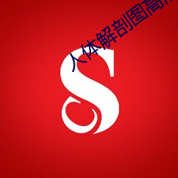 人体解剖图高清