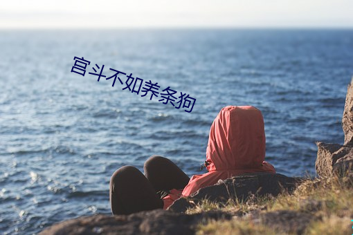 宫斗不如养条狗