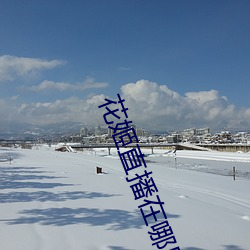 花姬直播在哪里能下载