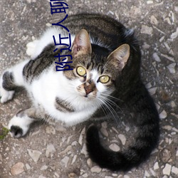 vwinӮ(й) - ٷվ