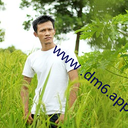 www .dm6.app （子鸡）