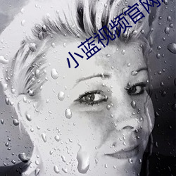 小蓝视频官网版下