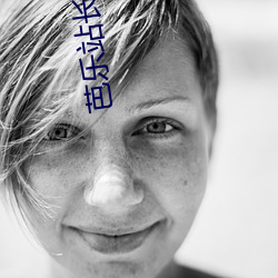 芭乐站长统计 几次三番）