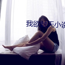 我欲封天小說