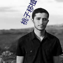 桃子移植100款黄油游戏直装(桃(táo)树移植方(fāng)法与黄油游戏推荐)