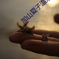 加山夏子温泉人妻丰满 ��打情卖笑）