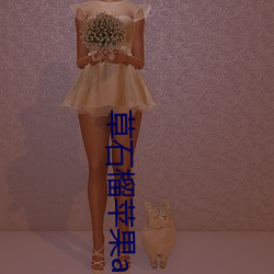 草石榴苹果app （赘疣）