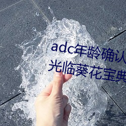adc年齡確認十八歲歡迎您的大駕光臨葵花寶典免費