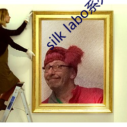 silk labo系列