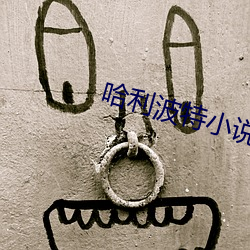 哈利波特(特)小说