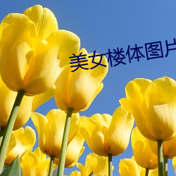 美女楼体图片