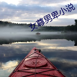女尊男卑小說