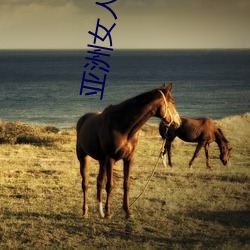 亚洲女(nǚ)人(rén)图(tú)片
