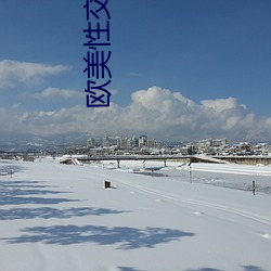 欧美性交(jiāo)软件
