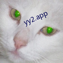 yy2.app