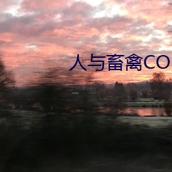 人与畜(畜)禽(禽)CORPORATION