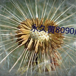 永(永)久(久)黄8090成人网(網)站
