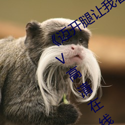 《迈开腿让我看下你的小草莓图片》MKV高清在线观看 （各就各位）