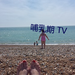 哺乳期 TV