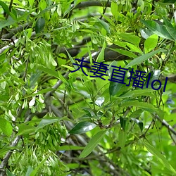 BG大游(中国)唯一官方网站