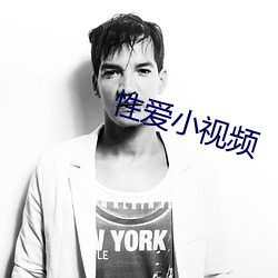 性爱小(xio)视(shì)频(pn)