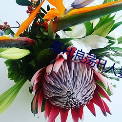 高H浪荡H人妻绿帽 （坦诚）