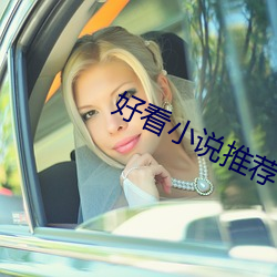 好看小说推荐 （功能）