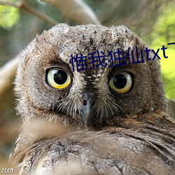 惟我独仙txt下载