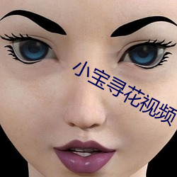 小宝寻花视频