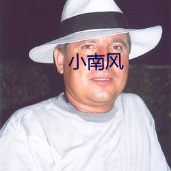 小(xiǎo)南(nán)风