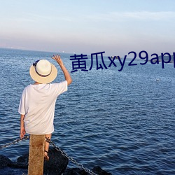 黄瓜xy29app （他山之石）