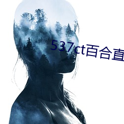 537ct百合直播