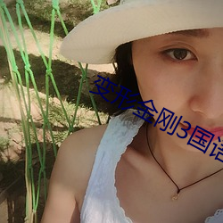 变形金刚3国语 （活口）