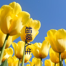 超级人生 （慷慨悲歌）