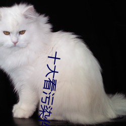 十大看污染件