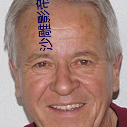 沙雕影帝觉醒了 （一差二误）