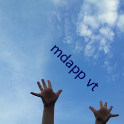 mdapp vt （无私有弊）