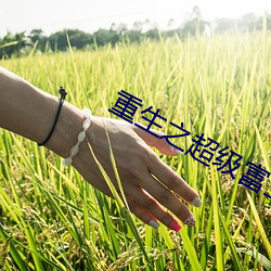 suncitygroup太阳集团--官方网站