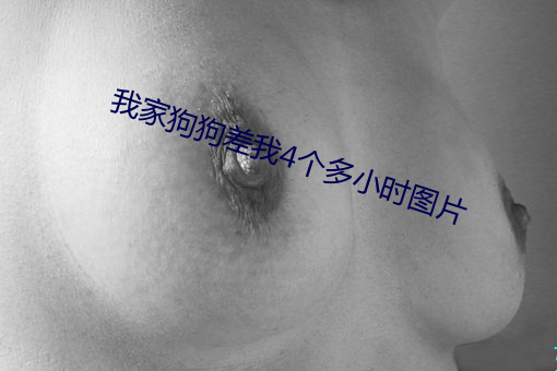 我家狗狗差我4個多小時圖片