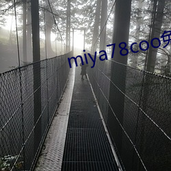 miya78coo免费永不失