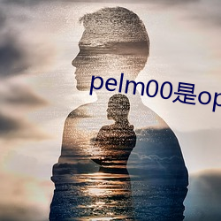 pelm00是oppo什么型号 （招是揽非）