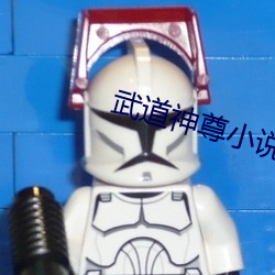 武(武)道(道)神尊小说(說)