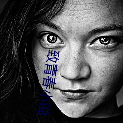致青春小說