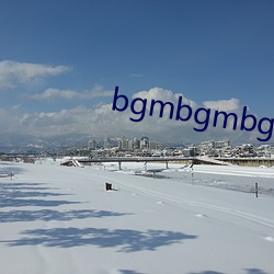 bgmbgmbgm老(老)太太毛(毛)多免费