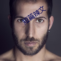 短篇辣文